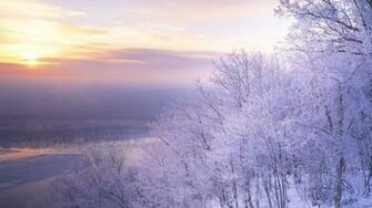 Beautiful Snow Scenery Wallpaper