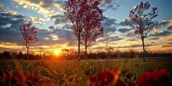 Ambwallpaper Get Wallpaper Image And Pictures For Your