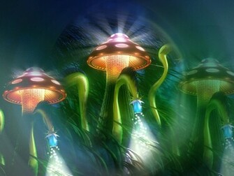 Shroom Wallpaper