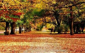 Autumn Wallpaper