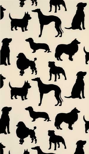 Osborne And Little Best In Show
