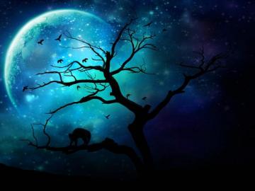 Blue Moon Wallpaper HD Resolution Data Src Background