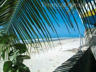 Caribbean Wallpaper Welcome To Tropical Paradise