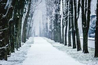 City Winter Alley Trees Snow Wallpaper Background
