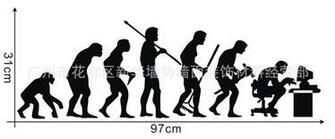 Human Evolution Wall Sticker People Vinyl Stickers Black Decal