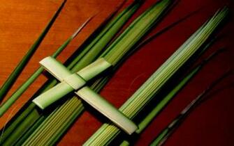 Palm Sunday Wallpaper HD Desktopinhq Net