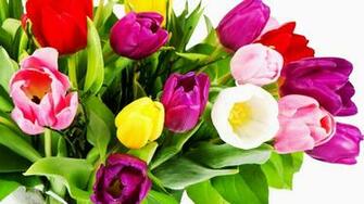 Bright Flower Wallpaper