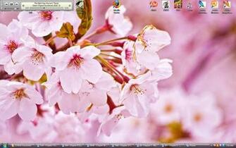 Cherry Blossom Wallpaper Anime