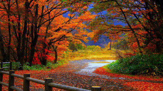 Fall Off Wallpaper