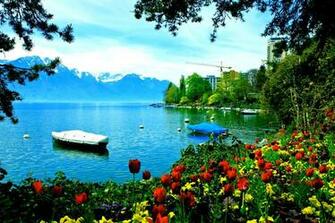 Lakeside Blossoms High Quality And Resolution Wallpaper