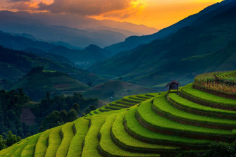 Landscape Nature Rice Paddy Terraces Mountain Sunset Field Trees Wallpaper