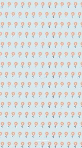 Cute Spring Wallpaper For Phone iPhone Flower On Light Blue