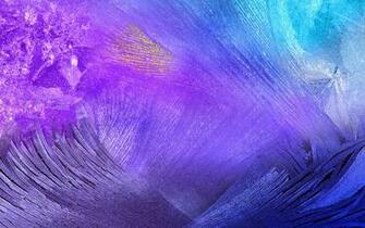 Abstract Bird Feathers Wallpaper 4k Ultra HD Id