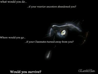 Image Black Cat Earth Wallpaper Jpg Warrior Cats Roleplay Wiki