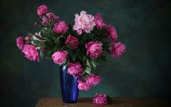 Pink Peonies Wallpaper
