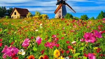 Email This Share To