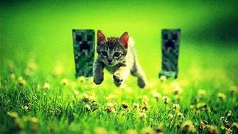 Cats Funny Minecraft Wallpaper