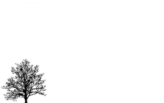 Tree Silhouette Wallpaper