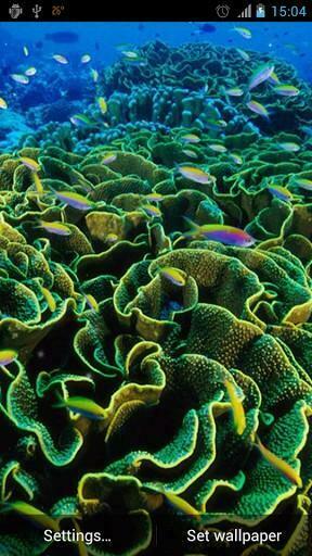 Bigger Under The Sea Live Wallpaper For Android Screenshot