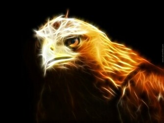 Golden Eagle Wallpaper HD In Animals Imageci