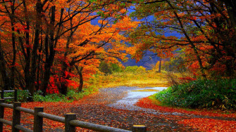 Fall Wallpaper