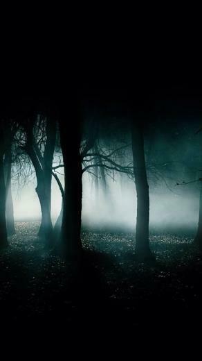 Dark Shades Wallpaper For iPhone 5s 5c Retina Screen