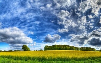 Hq Wallpaper Nature