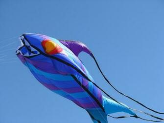 Fashion Beauty Wallpaper Beautiful Kites
