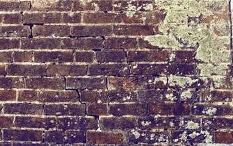 Brick Wall 4k HD Desktop Wallpaper For Ultra Tv Dual
