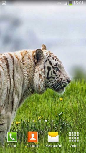White Tiger Live Wallpaper Android Apps On Google Play