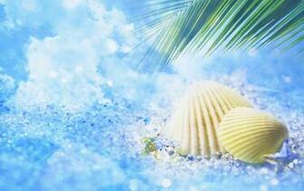 My Summer Dream Wallpaper