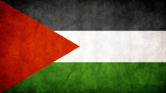 Strong And Resilient The Textured Flag Of Palestine