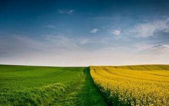 Description Green And Yellow Fields Is A Hi Res Wallpaper For Pc