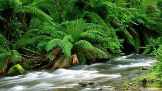 Wallpaper Titled Desktop High Quality Nature