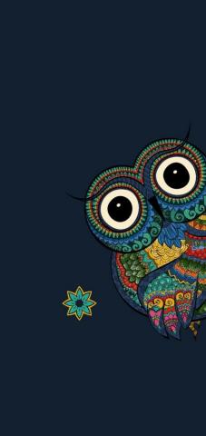 Iyan Sofyan On Material Minimal Pattern Cute Owls