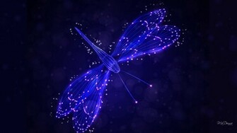Dragonfly Wallpaper