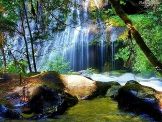 Funzug So Nice Nature Wallpaper