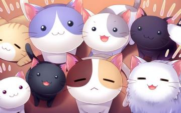 Cat Anime Computer Wallpaper On