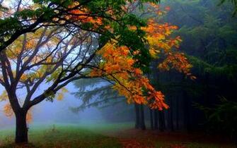 Header Templates Desktop Wallpaper Autumn