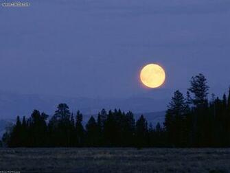 Harvest Moon Wallpaper Pictures To Pin
