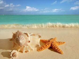 Wallpaper Starfish