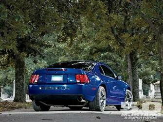 Cobra Photo Ford Mustang Terminator