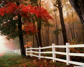 Herbstpracht Desktop Wallpaper