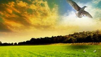 Wonder Full Wallpaper HD New Image