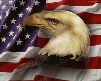 American Flag Background With Eagle Wallpaper HD