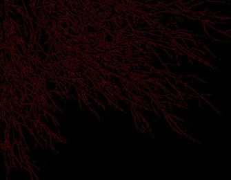 Crimson Wallpaper