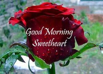 Romantic Good Morning Quotes For My Boyfriend