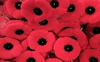 Remembrance Day Wallpaper