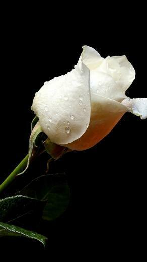 iPhone Wallpaper Love Hotwallpaper