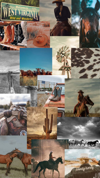 Explore The Beauty Of Horse Breeds In This Stunning